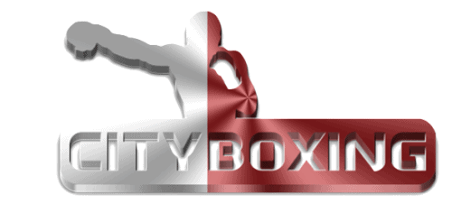 cityboxing2 500x236 1