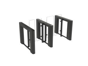 EasyGate Elite G 1200 RAL9010 2 lanes